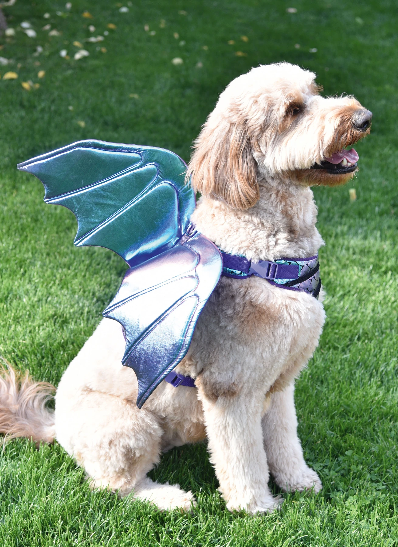 Simplicity Sewing Pattern Dog Harness with Wings by Carla Reiss Design 2 Simplicity Sewing Pattern Dog Harness with Wings by Carla Reiss Design