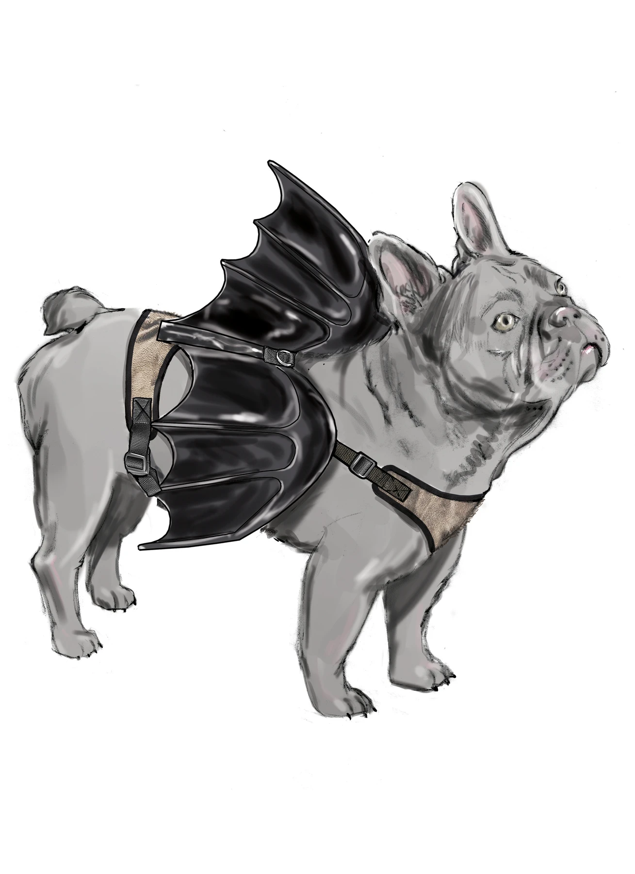 Simplicity Sewing Pattern Dog Harness with Wings by Carla Reiss Design 3 Simplicity Sewing Pattern Dog Harness with Wings by Carla Reiss Design