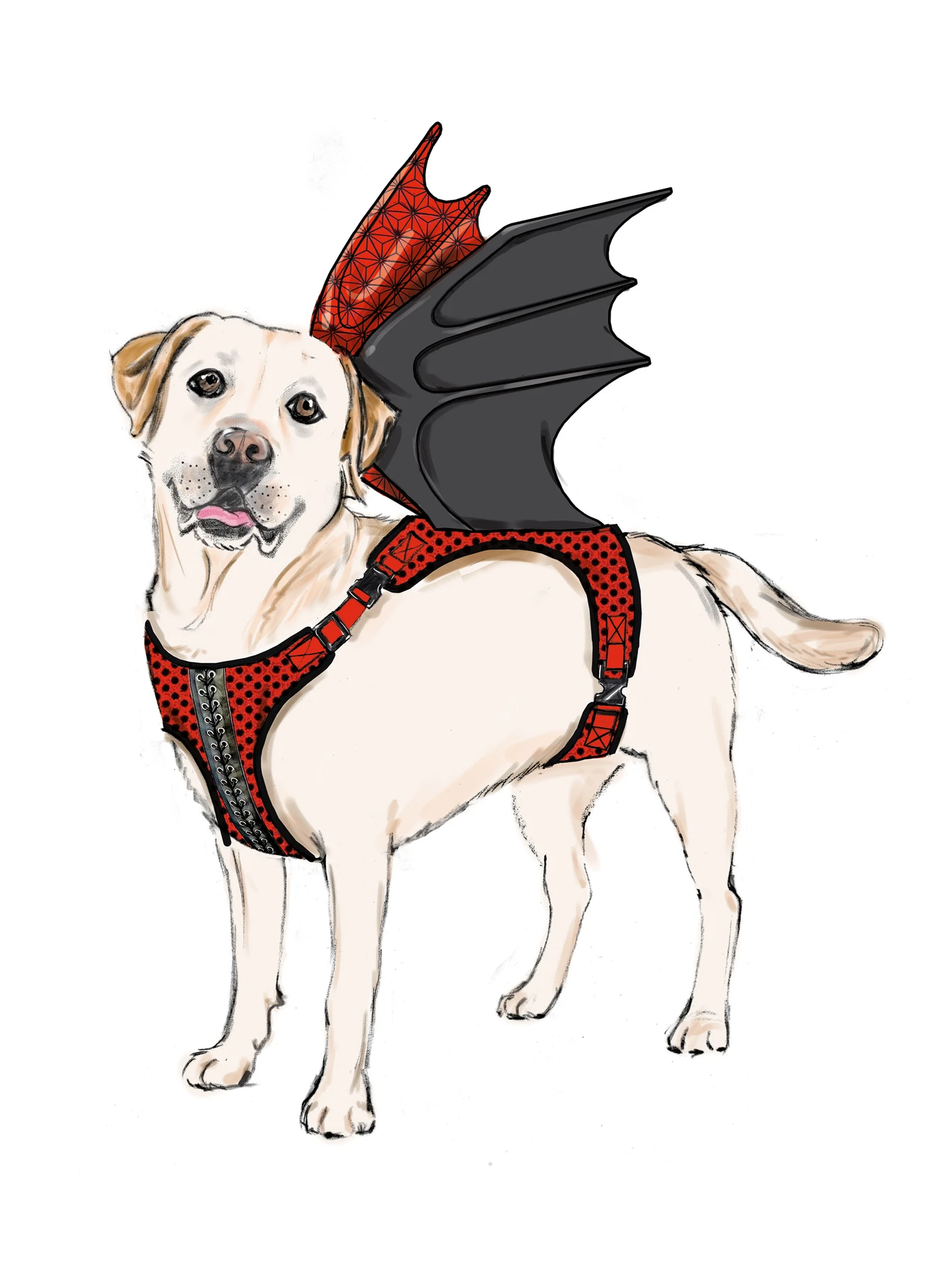 Simplicity Sewing Pattern Dog Harness with Wings by Carla Reiss Design 4 Simplicity Sewing Pattern Dog Harness with Wings by Carla Reiss Design