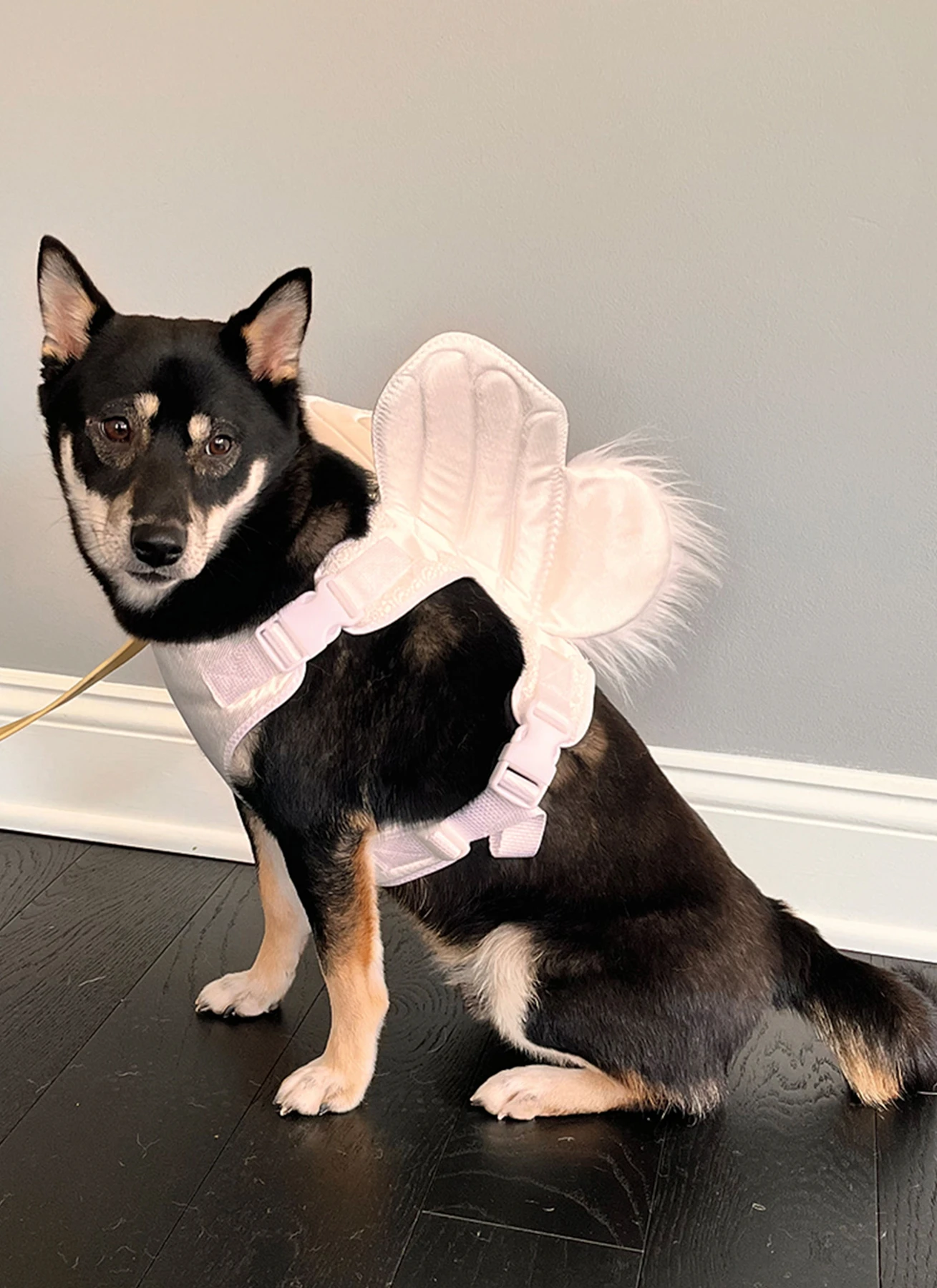 Simplicity Sewing Pattern Dog Harness with Wings by Carla Reiss Design 8 Simplicity Sewing Pattern Dog Harness with Wings by Carla Reiss Design