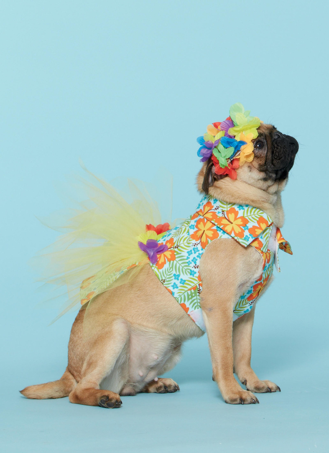 McCall's Sewing Pattern Kids' Gathered Top and Skirt, and Dog Costumes (PDF) 3 McCall's Sewing Pattern Kids' Gathered Top and Skirt, and Dog Costumes (PDF)