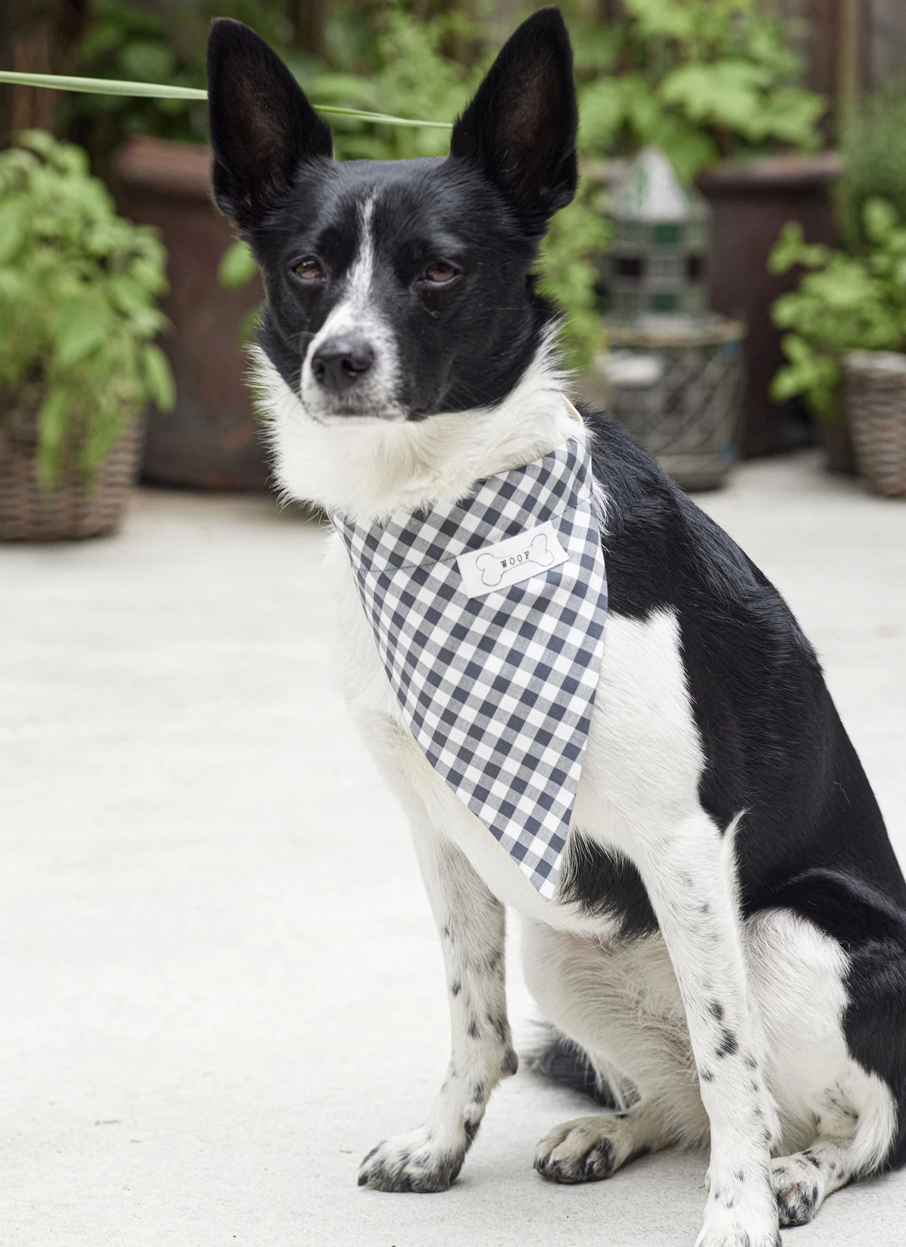 Burda Style Sewing Pattern 5702 Pet Accessories 2 Burda Style Sewing Pattern 5702 Pet Accessories