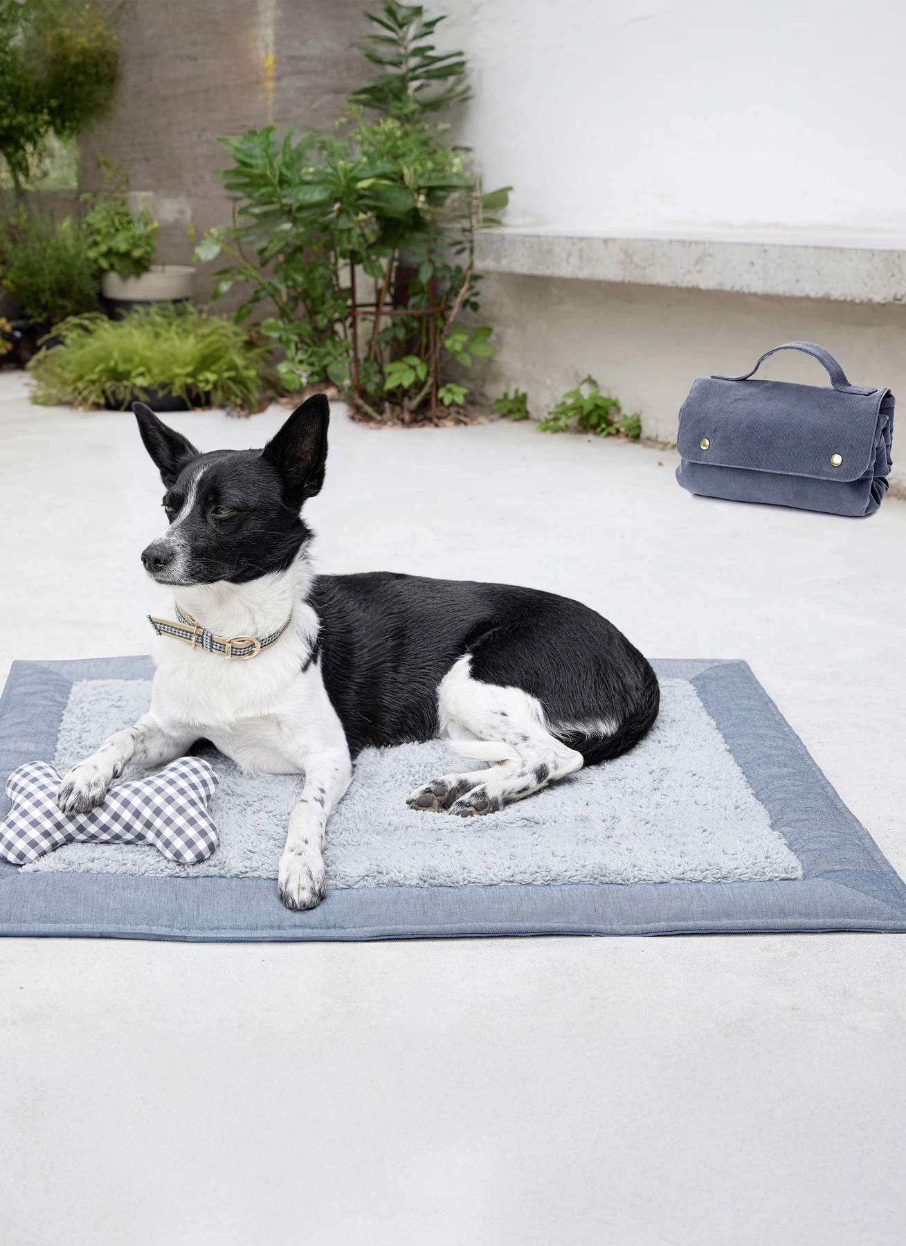 Burda Style Sewing Pattern 5702 Pet Accessories 3 Burda Style Sewing Pattern 5702 Pet Accessories