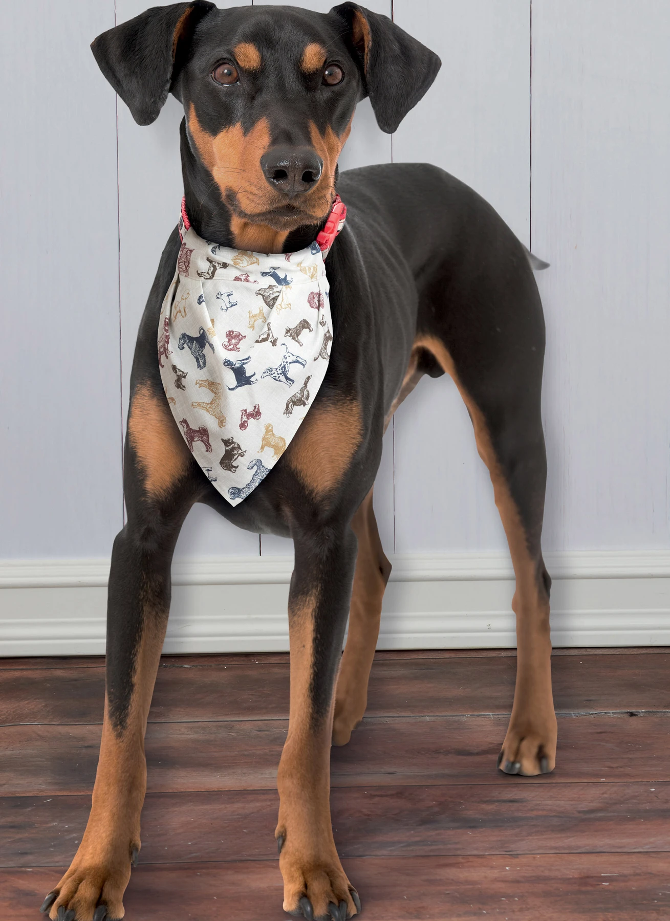 Simplicity Sewing Pattern Pet Crate Covers in Three Sizes and Accessories 6 Simplicity Sewing Pattern Pet Crate Covers in Three Sizes and Accessories